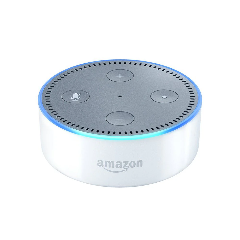 Smart Home Voice Control- Amazon Echo Dot - Yuha Electric