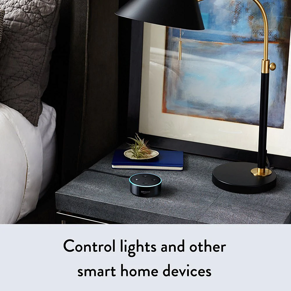Smart Home Voice Control- Amazon Echo Dot - Yuha Electric