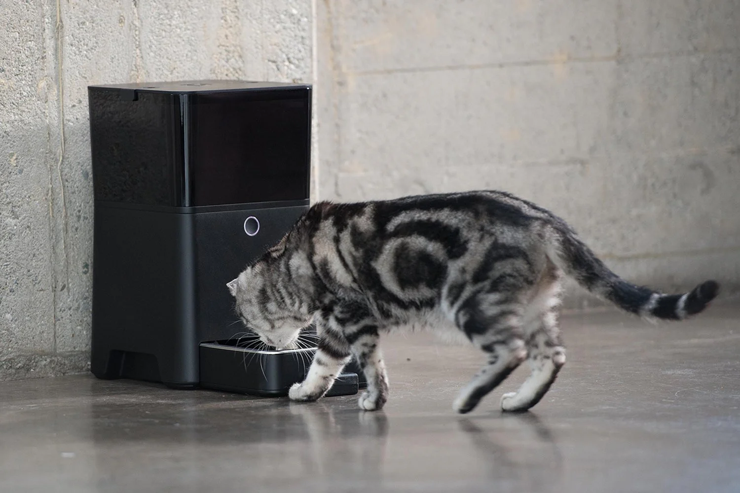 Smart Pet Feeder- Petnet SmartFeeder - Automatic Pet Feeding from Your Smartphone - Yuha Electric